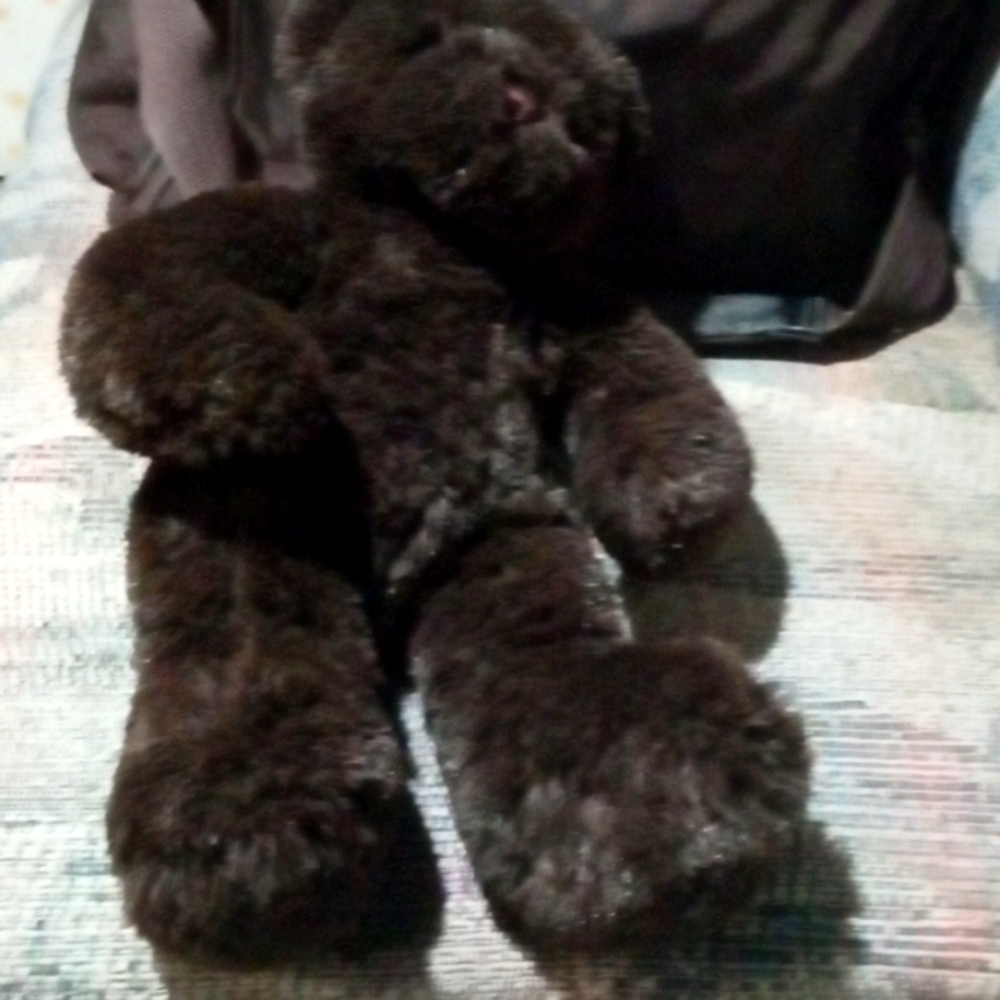 Vintage "Color Rich"  A Dark Chocolate Brown Bear Plush